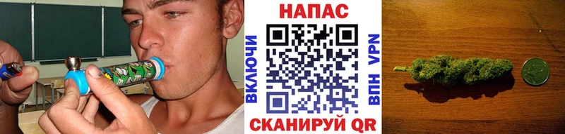 Канабис сатива  Дальнегорск 